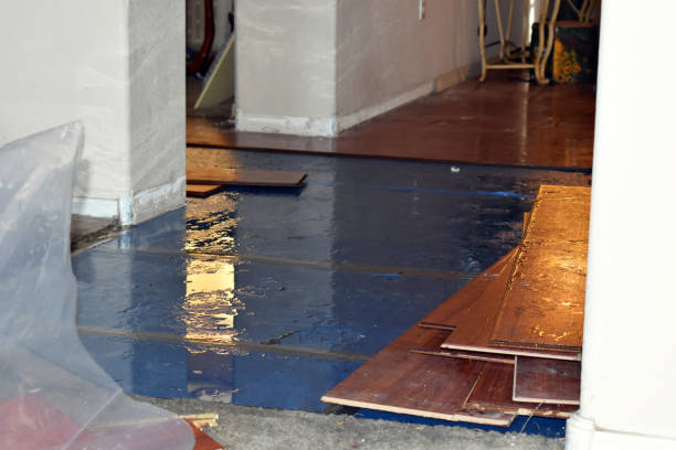 Professional Basement Flood Cleanup technician working in Victoria, VA
